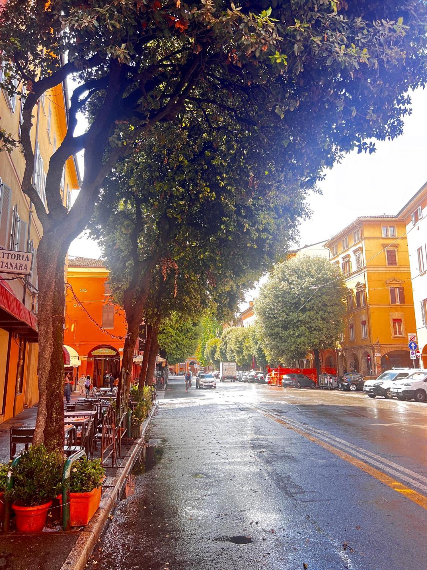 Bolognabyside -Righi Apartment Exterior foto